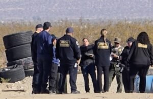 Cães levam as autoridades a remover a inteligência do resto das pessoas próximas a Palmdale