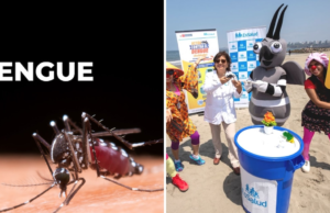 A praia está chegando: ESTALUS alerta sobre expansão do Aedes Aegypti para o litoral peruano antes do verão