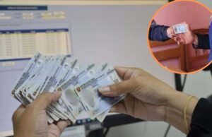 Identificação eletrônica gratuita para os dias 1 e 2 de dezembro: saiba onde e o que é necessário
