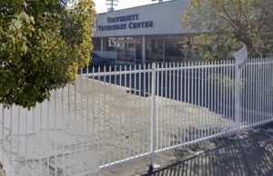 Mulher acusada de jogar poodle solto por cima de cerca de 2,5 metros