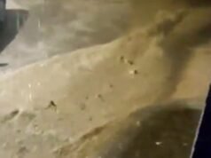 O rio Guadalhorce transborda ao passar por Cártama: ultrapassa o pico histórico se os habitantes de Málaga forem despejados