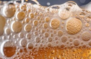 Vinícolas peruanas pedem ao Congresso que reduza as taxas de ‘Proibição’: milhões em receitas perdidas