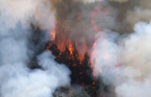 As perdas globais de infraestrutura atingiram US$ 800 bilhões por ano devido a desastres, principalmente climáticos