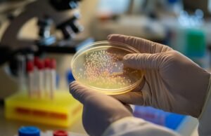 Eles sabem que os insetos nascidos na Antártica penduram microplásticos