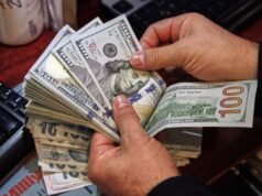 Quantos dólares a Argentina comprou desde que a taxa de câmbio foi introduzida?