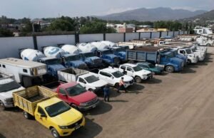 Eles identificam um grupo de criminosos relacionados ao roubo de transporte em Edomex: seus nomes e onde trabalham