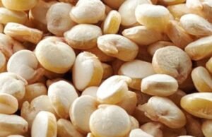 As 7 potências mundiais ameaçam a monarquia peruana, anunciou ADEX: ensopados e arroz recebem melhor “tratamento” no Peru