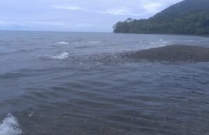 Dimar e Ungrd confirmam que não há ameaça de tsunami na costa colombiana devido ao terremoto no Japão