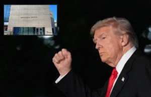 Instituto da Paz dos Estados Unidos Nedrased para Donald J. Trump Instituto da Paz