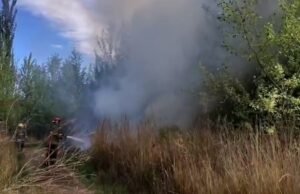 Declararam emergência agrícola em Neuquén devido à seca