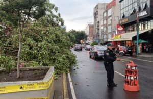 Bloqueios e manifestações em CDMX e Edomex hoje, 19 de dezembro: trânsito parado na rua Córdoba, em Roma Norte