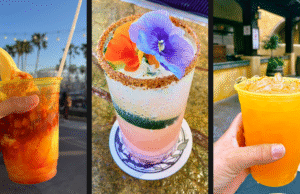Melhores bares e cervejarias no Disneyland Park and Resort