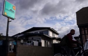 Como um Angeleno construiu um oásis insalubre na sala de La