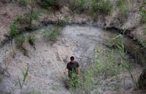 Agricultores de “conservação de água” da Hungria lutam contra a desertificação