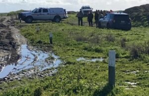 Corpo encontrado na praia do condado de Santa Cruz, ao norte do avistamento de tubarões, dizem autoridades