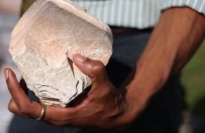 As chaminés de sal das paliçadas de fogo são a memória tangível da perda indescritível