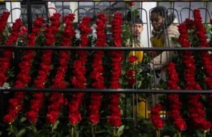 Geração Z e Millennials adotam opções sustentáveis para flores personalizadas