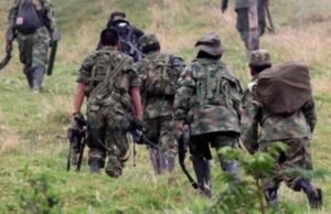 Acusam o ataque armado ao líder camponês em Catatumbo enquanto ele agia de acordo com o plano do governo