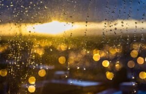 Virgínia: Como estará o tempo em Ashburn amanhã?