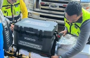 Doação de múltiplos órgãos em Puebla beneficia seis pessoas em outros estados: IMSS
