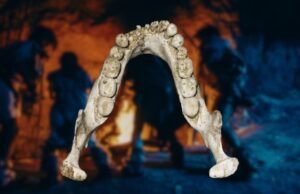 Eles descobriram uma nova espécie de Homo Sapiens que viveu há 773 mil anos: tinha uma forma anatômica diferente dos restos de Atapuerca.