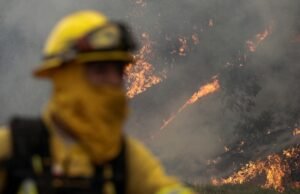 Incêndios florestais no Chile: quatro foram designados em alerta vermelho devido aos perigos da floresta