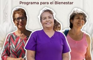 Pensão feminina 2026: como saber se você conseguiu Janeiro e calendário provisório