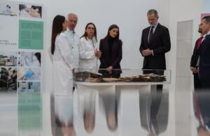 VÍDEO: King mostra conexão com vítimas de crimes e elogia memórias salvas pelo projeto Save the Photos