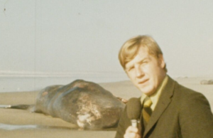 Costa do Oregon, 20 caixas de dinamite e uma explosão: a extraordinária história da baleia Florence