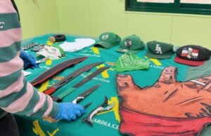 A Guarda Nacional prendeu seis menores de idade de um grupo criminoso criado pelo Trinitário, o sangue e os quarenta e dois no norte de Madrid.