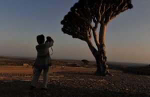 A situação dos 20 espanhóis presos no conflito no Iêmen: quatro grupos chegaram à Arábia Saudita