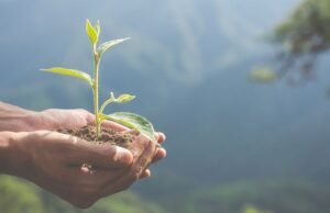 2025, o ano em que a proteção ambiental no Peru tem nome e rosto: conheça os guardiões do nosso território