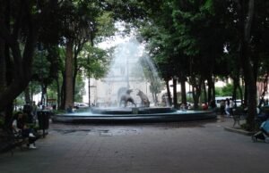 Feira Internacional do Livro de Coyoacán: datas, países estrangeiros e tudo o que você precisa saber