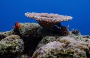 O que você deve saber sobre a Convenção de Alto Mar quando ela entrar em vigor