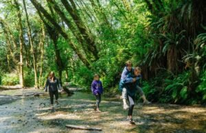 10 acampamentos mais populares na Califórnia