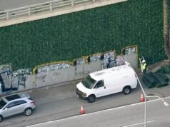 Hera falsa plantada na US 101 no centro de Los Angeles para impedir pichações