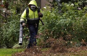 Como transformar folhas caídas em um paisagismo valioso neste outono