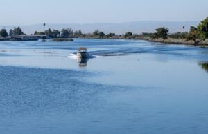 O debate sobre a água para o Delta da Califórnia está esquentando