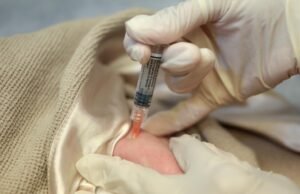Os pediatras incentivam os americanos a seguirem o cronograma de imunização anterior, apesar das mudanças recentes do CDC