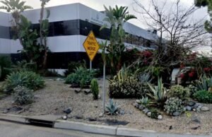 Empresa de testes de semicondutores da Bay Area demitirá mais de 200 trabalhadores