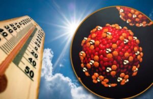 O calor afeta os surtos de sarampo no México? Isso é conhecido