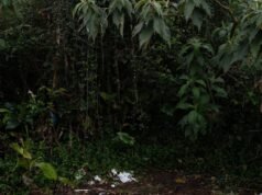 O Ministério Público pediu 33 anos de prisão a ‘O Chioleiro’ pelo homicídio do seu amigo em Vigo, cujo corpo foi encontrado numa mala.