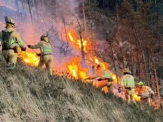 Cantábria e Astúrias foram afetadas por até 60 incêndios em 24 horas