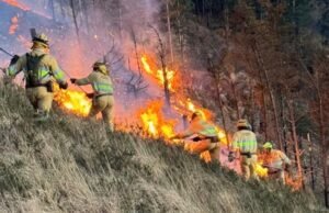 Cantábria e Astúrias foram afetadas por até 60 incêndios em 24 horas