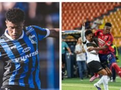 Liverpool x Medellín AO VIVO, Copa Libertadores: estreia de ‘Os Poderosos da Montanha’ no Uruguai