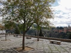 Câmara Municipal atribui grande projeto de iluminação a cinco edifícios da cidade