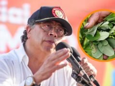 Após reunião com Trump, Petro fala sobre senhores da cocaína e oferece balanço dos atentados em Catatumbo