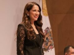 Governador de Guanajuato insiste que “não há risco” dirigir em estradas estaduais