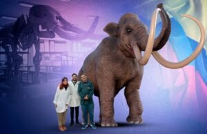 A descoberta acidental de fósseis na savana de Bogotá revela que a Colômbia é o corredor perdido de mastodontes e outros monstros: esta é a história