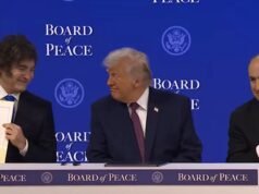 As empresas de consultoria estão preocupadas com os potenciais danos à reputação do governo